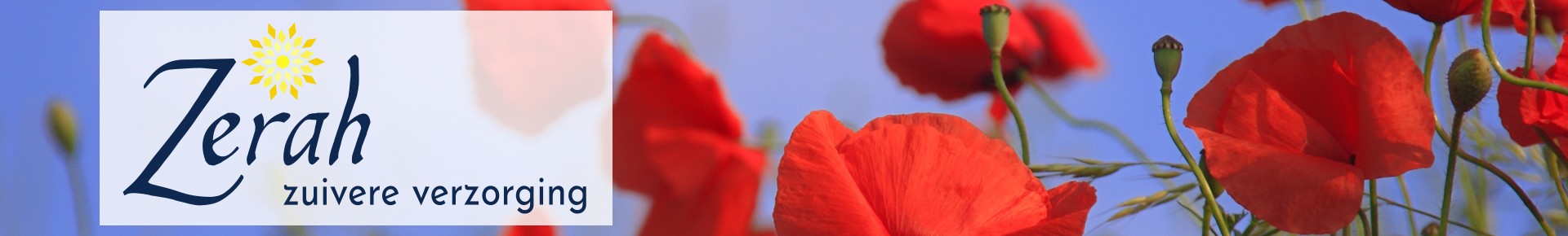 headerzomer2019